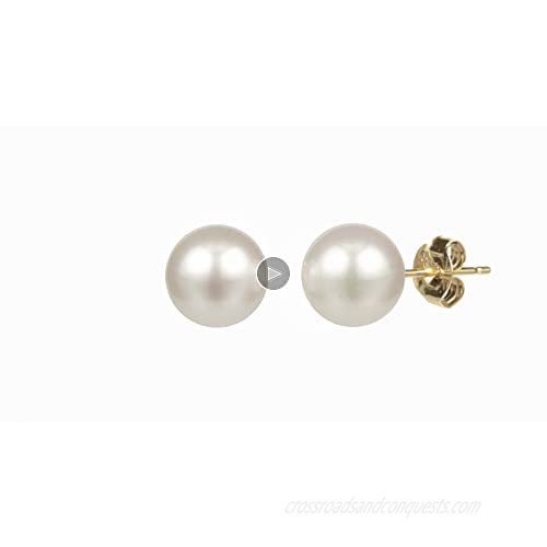 PAVOI Handpicked AAA+ 14K Gold Round White Freshwater Cultured Pearl Earrings | Pearl Earrings for Women