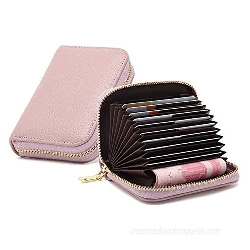 Earnda RFID Credit Card Holder Genuine Leather Zipper Card Case Wallet for Women Small Accordion Wallet