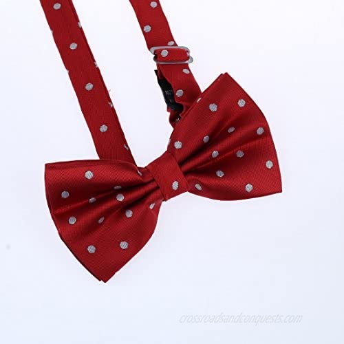 Dan Smith Men's Fashion Multi Polka Dots Microfiber Pre-tied Bow Tie With Box