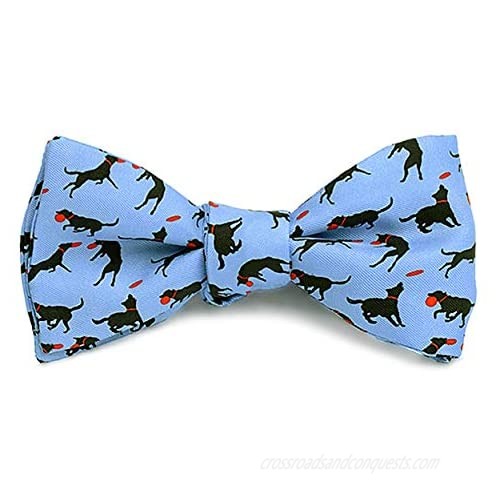 Josh Bach Men's Frisbee and Dog Self Tie Silk Bow Tie in Blue  Made in USA