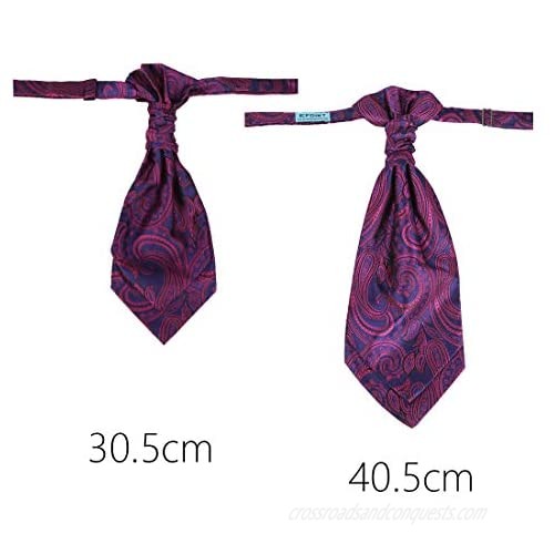 Epoint Men's Fashion Pre-tied Cravats Paisley Wedding Ascot Ties Hanky Set With Box