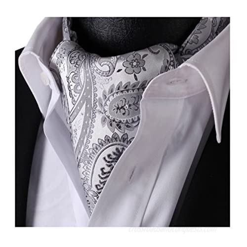 HISDERN Men's Floral Jacquard Woven Self Cravat Tie Ascot