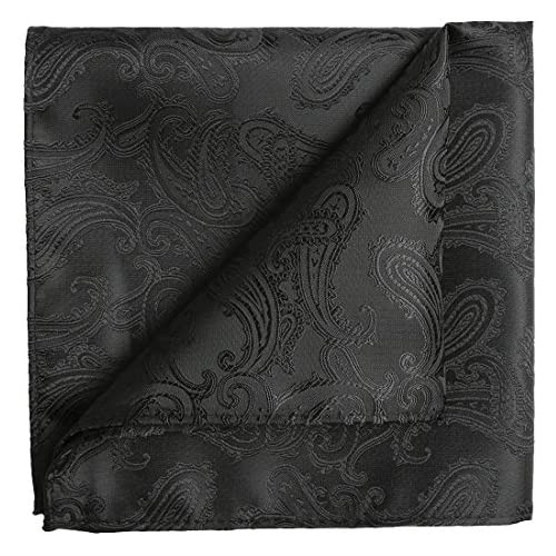 KissTies Mens Extra Long Tie Paisley Pattern Necktie + Gift Box (63'' XL)