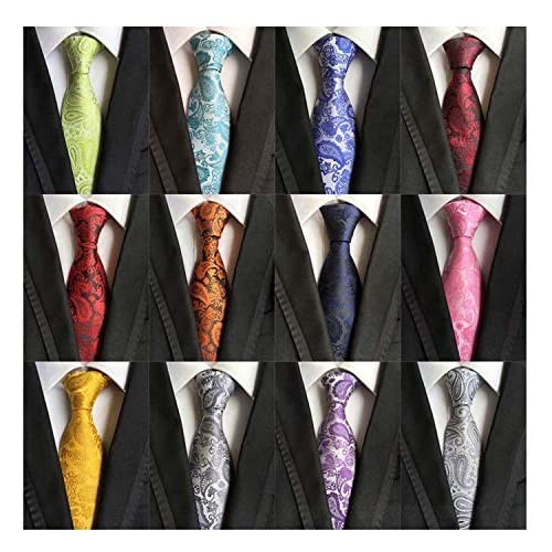 Weishang Lot 12 PCS Classic Men's 100% Silk Tie Necktie Woven JACQUARD Neck Ties (Style 3)