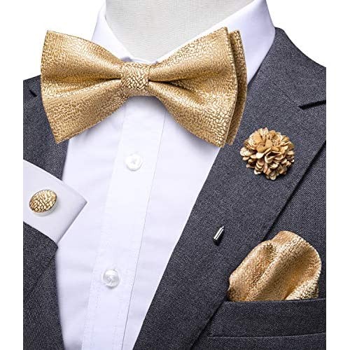 Dubulle Bow Tie and Lapel pin Set with Pocket Square Cufflinks