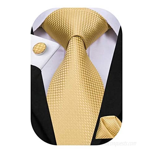 Dubulle Mens Paisely Silk Tie for Men Necktie and Pocket Square Set