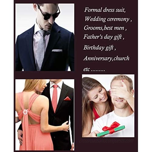 WITZROYS Men's Festive Necktie and Pocket Square Set for Wedding Party Prom Anniversary Gift Set