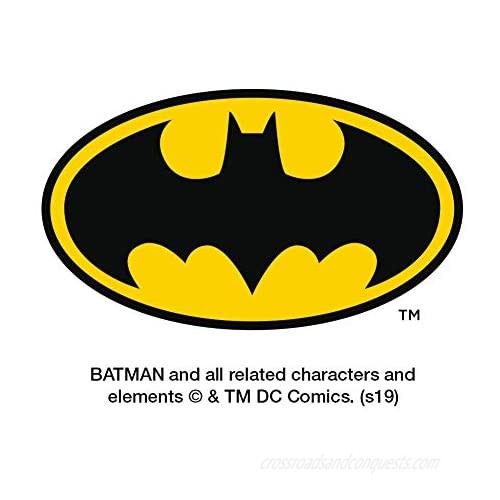 Batman Nightwing Logo Satin Chrome Plated Metal Money Clip