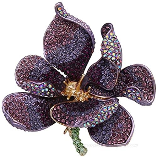 EVER FAITH Women's Austrian Crystal Orchid Flower Petal Brooch